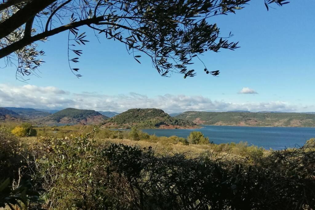 Studio 32M2 - Dans Propriete Avec Vue Imprenable Sur Le Lac Du Salagou Liausson Exterior photo